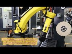 Programmeerbare Robotachtige Malende Machine voor Ophelderende Roestvrij staalgootstenen
