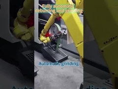 Volautomatisch ontbramen en slijpen
