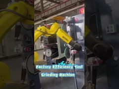 Werktuig voor de efficiëntie van de fabriek - slijp- en poetsmachine