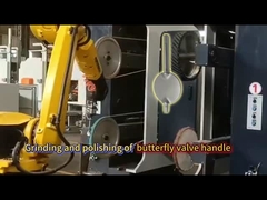 ABB Robotische Metaal Ontbraam-, Slijp- en Polijstmachine