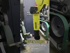 4000mm Robotachtige Malende Machine met 2 Malende Machines en 4 Zandriemen