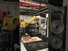 Robot slijpen en polijsten van aluminiumlegering, roestvrij staal, zinklegering, messing, etc.