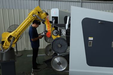 De volledige Automatische Machine van het Roestvrij staalpolijsten voor Auto-industrie