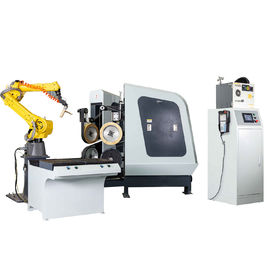 Volautomatische het Malen & Polijstenmachine voor Autodelen/Faucte /Sanitary Montage/Deurhandvatten
